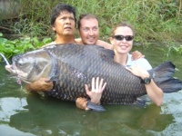 fishing_thailand_alley_eddy_carp.jpg