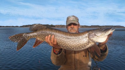 Fat pike 11-5-19.jpg