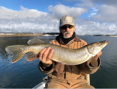 31in. pike 12-22-19.jpg