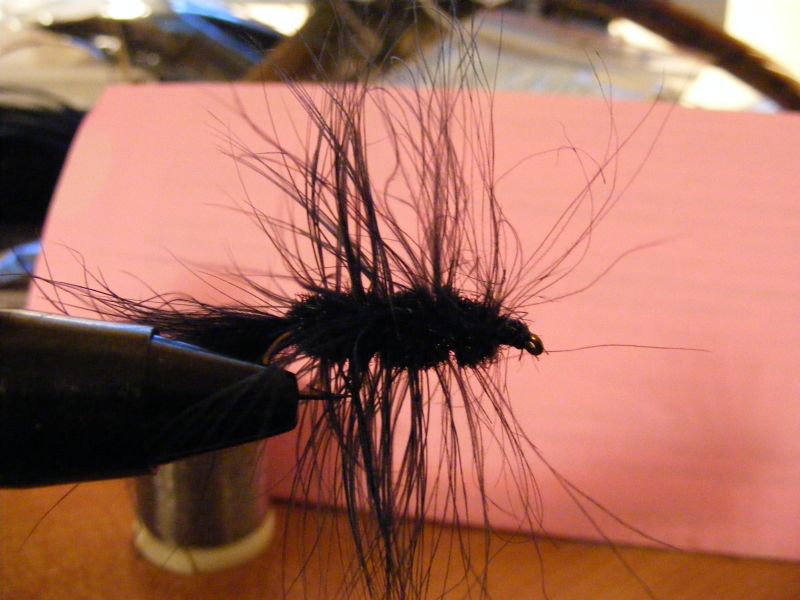 black_woolly_bugger_003_resize.jpg