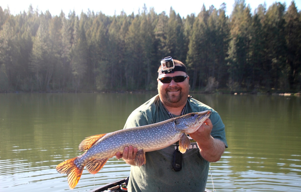 32 Inch Pike Doug.JPG