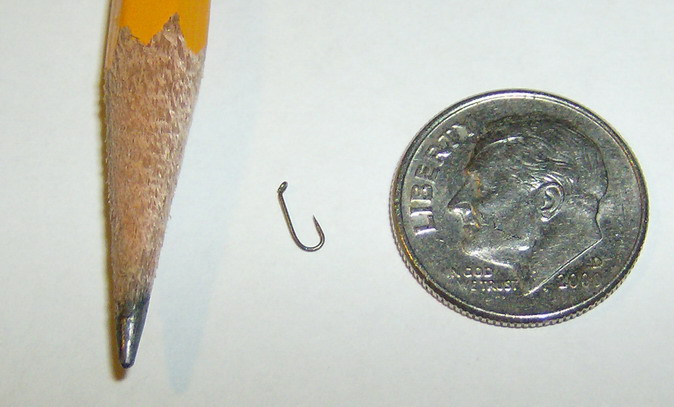 Size24DryFlyHook_resize.jpg