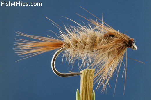 T3225Soft%20Hackle%20Hares%20Ear%20Nymph.jpg