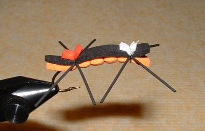 chernobyl_ant.jpg